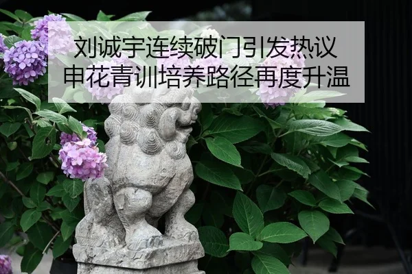 刘诚宇连续破门引发热议 申花青训培养路径再度升温
