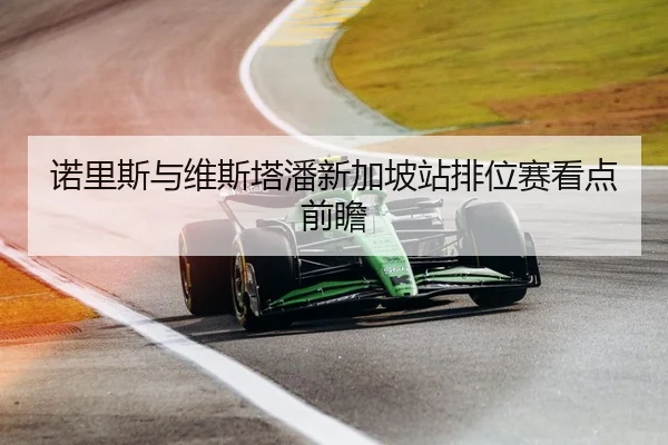 诺里斯与维斯塔潘新加坡站排位赛看点前瞻