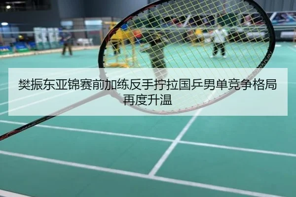 樊振东亚锦赛前加练反手拧拉国乒男单竞争格局再度升温